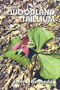 Bertrand.pt - Woodland Trillium