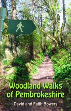 Bertrand.pt - Woodland Walks In Pembrokeshire