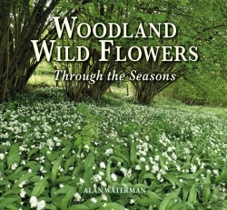 Bertrand.pt - Woodland Wild Flowers