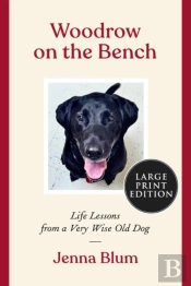 Woodrow On The Bench