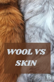 Wool Vs Skin