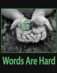 Words Are Hard