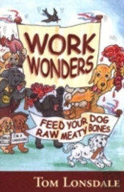 Work Wonders