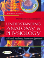 Workbook To Accompany Understanding Anatomy And Physiology