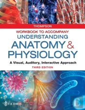 Workbook To Accompany Understanding Anatomy & Physiology