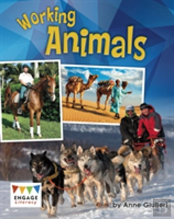Bertrand.pt - Working Animals