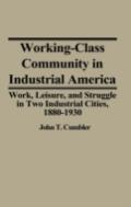 Working-Class Community In Industrial America