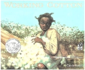 Working Cotton