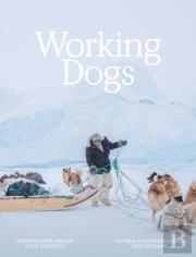 Working Dogs