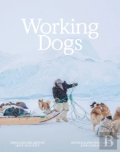 Working Dogs