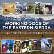 Working Dogs Of The Eastern Sierra