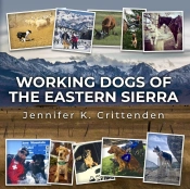 Working Dogs Of The Eastern Sierra