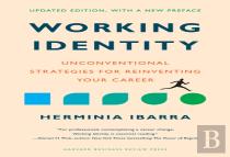 Working Identity, Updated Edition, With A New Preface