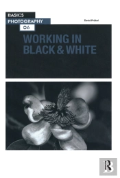 Working In Black & White