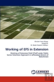 Working Of Efs In Extension