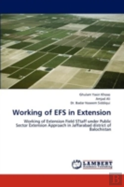 Bertrand.pt - Working Of Efs In Extension