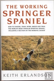 Working Springer Spaniel