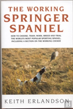 Bertrand.pt - Working Springer Spaniel