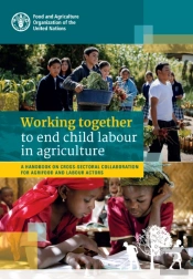 Working Together To End Child Labour In Agriculture