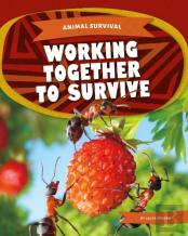 Working Together To Survive