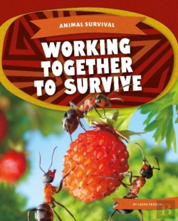 Bertrand.pt - Working Together To Survive