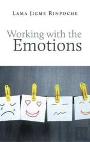Working With The Emotions