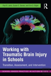 Working With Traumatic Brain Injury In Schools