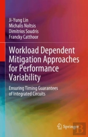 Workload Dependent Mitigation Approaches For Performance Variability