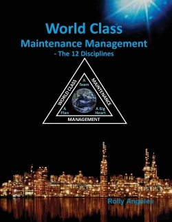 Bertrand.pt - World Class Maintenance Management - The 12 Disciplines