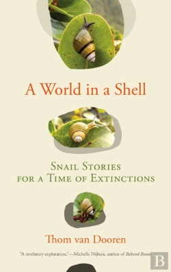 Bertrand.pt - World In A Shell