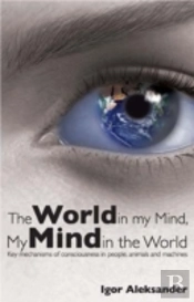 World In My Mind, My Mind In The World