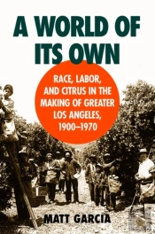World Of Its Own