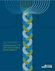 World Survey On The Role Of Women In Development 2014