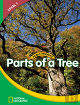 World Windows 1 (Science): Parts Of A Tree