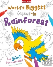 World'S Biggest Colour-In Rainforest