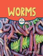 Worms