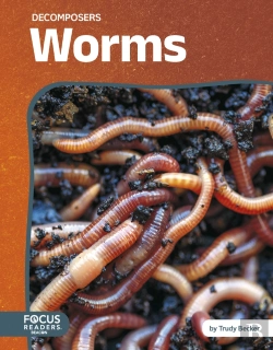 Bertrand.pt - Worms