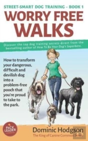 Worry Free Walks: How To Transform Your