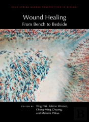 Wound Healing: From Bench To Bedside