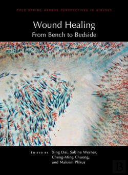 Bertrand.pt - Wound Healing: From Bench To Bedside