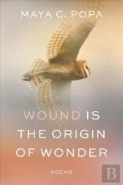Wound Is The Origin Of Wonder