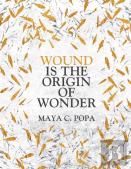 Wound Is The Origin Of Wonder