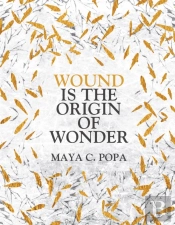 Wound Is The Origin Of Wonder