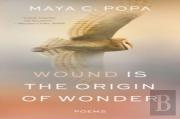 Wound Is The Origin Of Wonder