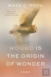 Wound Is The Origin Of Wonder