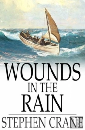 Wounds In The Rain