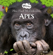 Wow! Apes. How Much We Look Alike