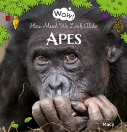Bertrand.pt - Wow! Apes. How Much We Look Alike