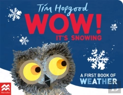 Bertrand.pt - Wow! It'S Snowing