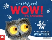 Wow! It'S Snowing